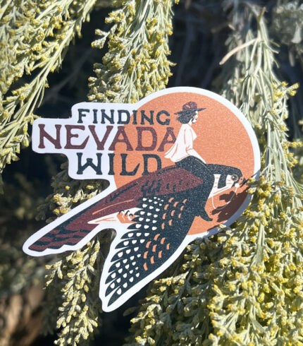 finding nevada wild, nevada sticker, sydney martinez finding nevada wild