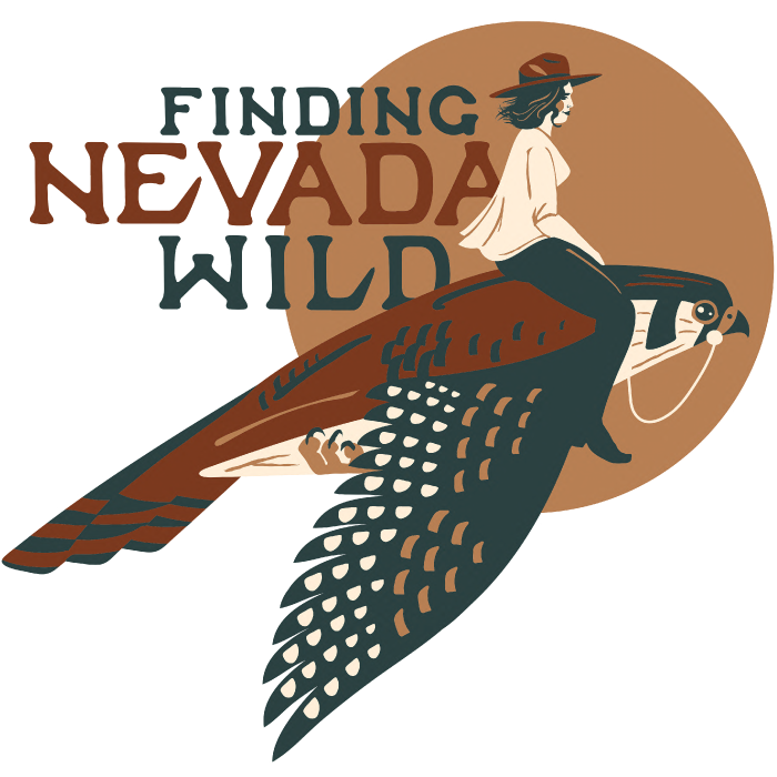 Finding Nevada Wild