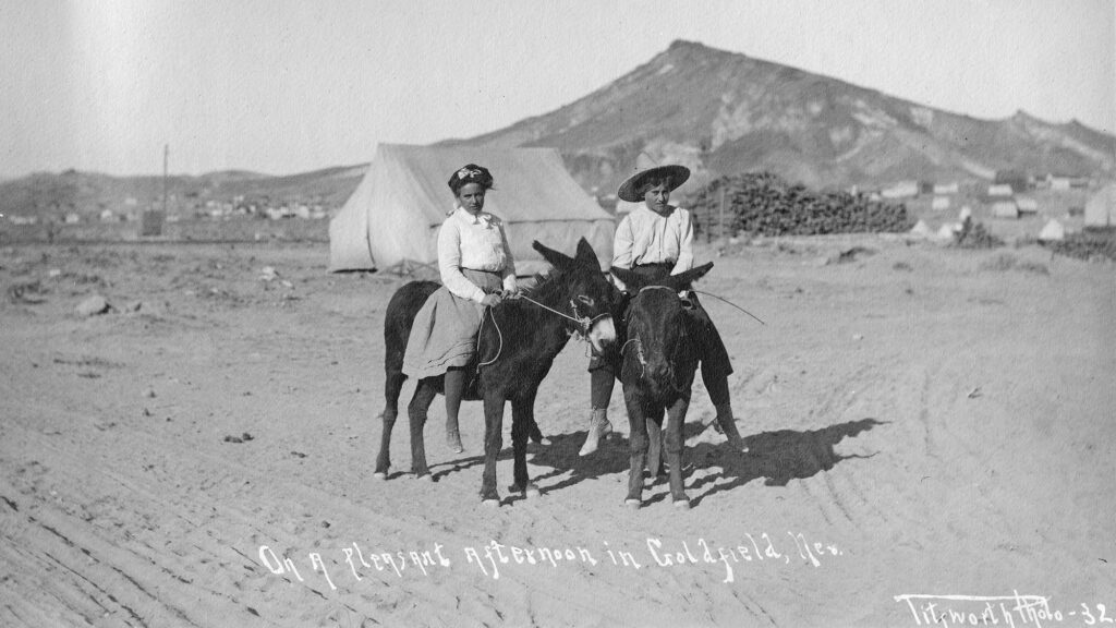 early days in goldfield, goldfield burros, goldfield nevada