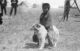 american indian dogs, american indian dog, plains dogs, legends of lost nevada