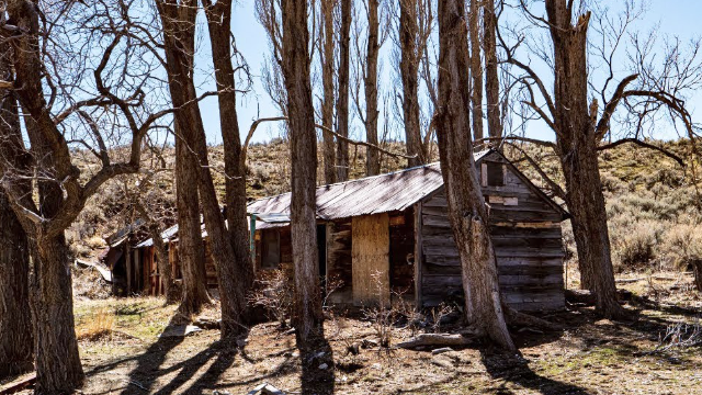 josie pearl's cabin, josie pearl, queen of the black rock
