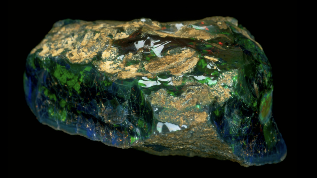 roebling opal, nevada roebling, roebling black fire opal, nevada black fire opal, virgin valley nv