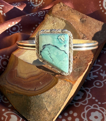 nevada mystic sage, mystic sage nevada, song dog silver