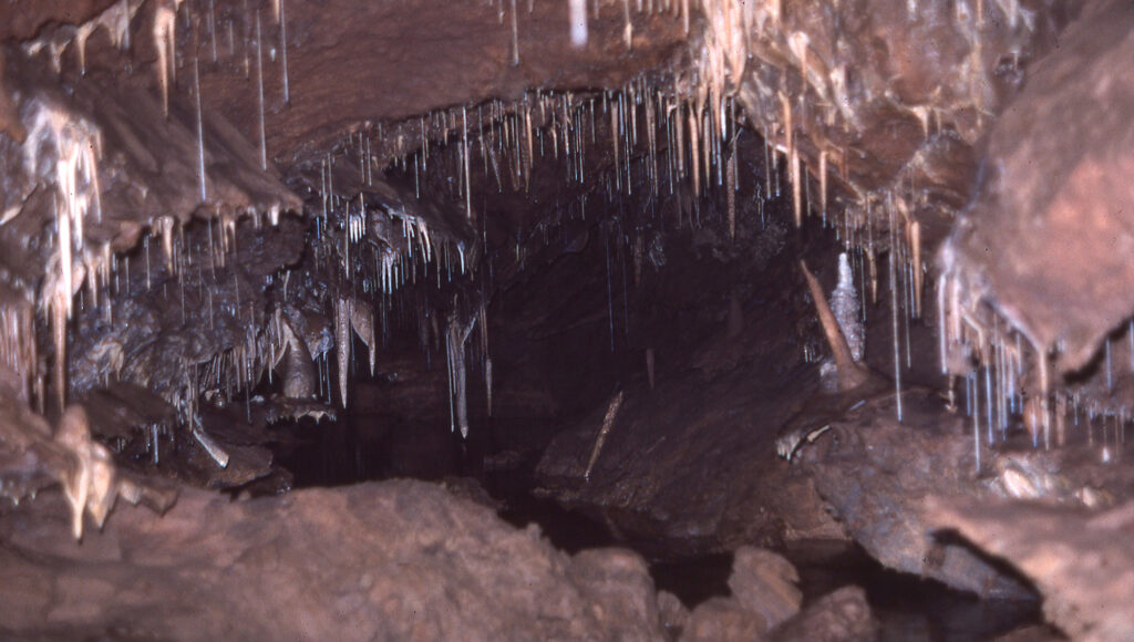 labor of love cave, legends of lost nevada, ely cave bear