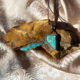 royston nevada, song dog silver, sydney martinez, made in nevada, royston turquoise