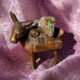 royston turquoise, song dog silver, royston nevada, royston tonopah, song dog silver