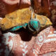 royston turquoise, song dog silver, nevada royston
