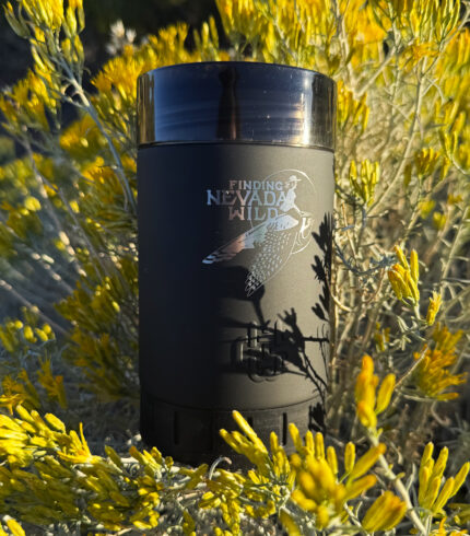 finding nevada wild, sydney martinez, wyld gear