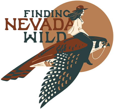 Finding Nevada Wild